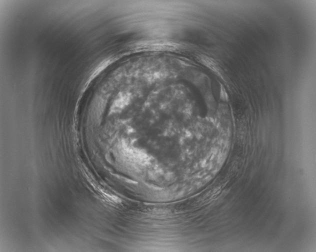 X0000058821071200510171531
