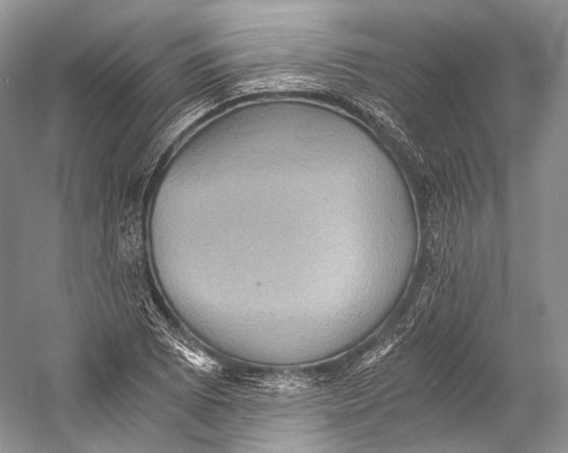 X0000058821073200510171531