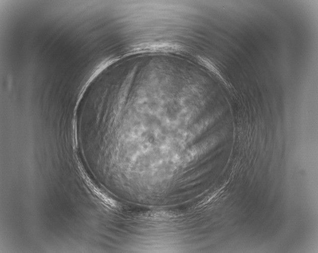 X0000058821079200510171531