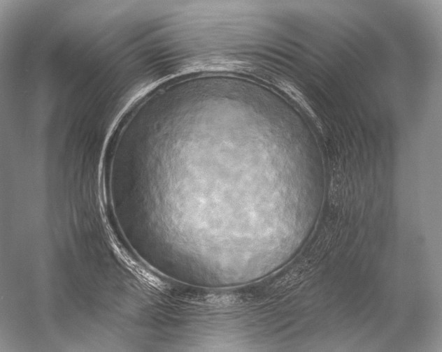 X0000058821080200510171531