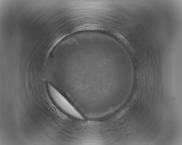 X0000058821081200510171531