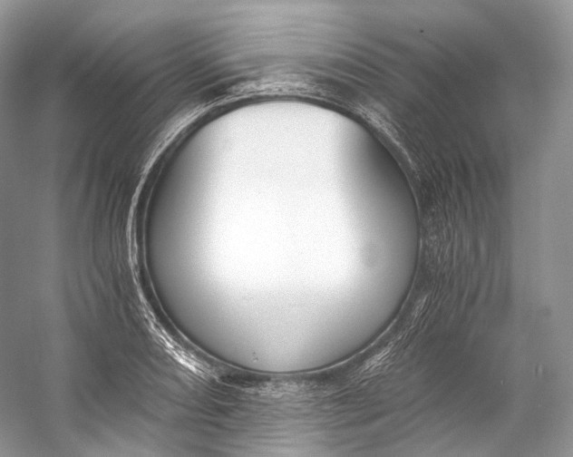 X0000058821082200510171531
