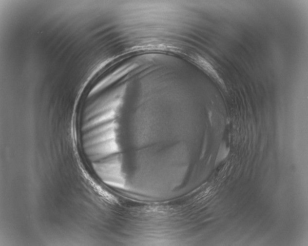 X0000058821084200510171531