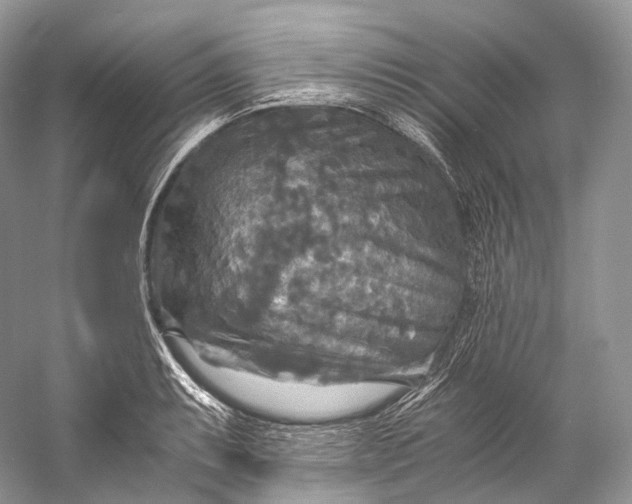X0000058821087200510171531