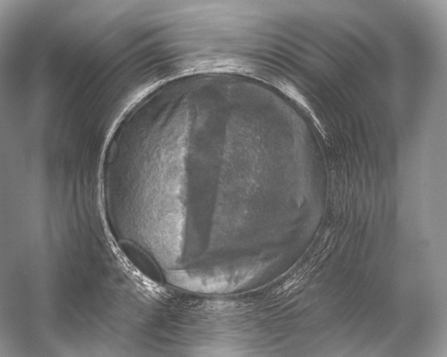 X0000058821088200510171531