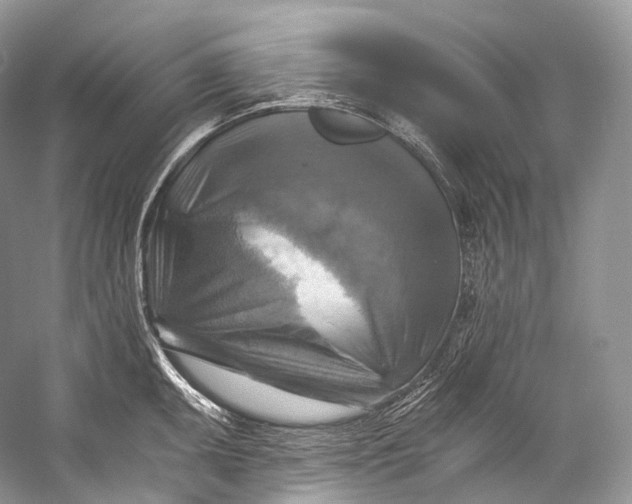 X0000058821095200510171530