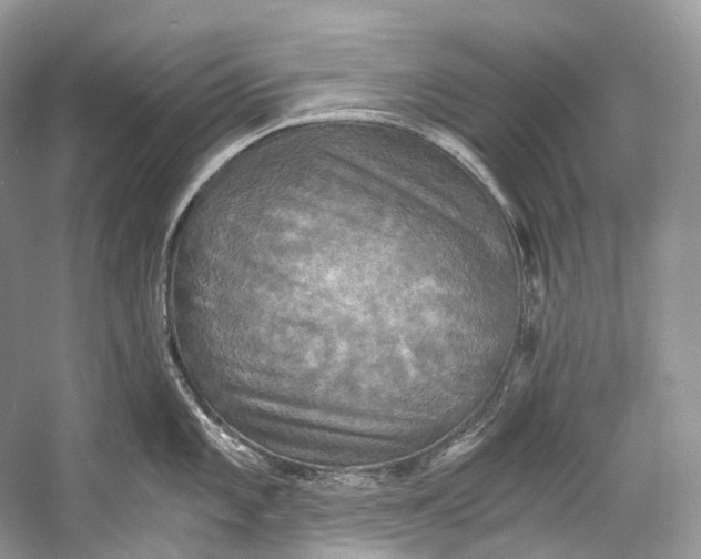 X0000058821101200510171530