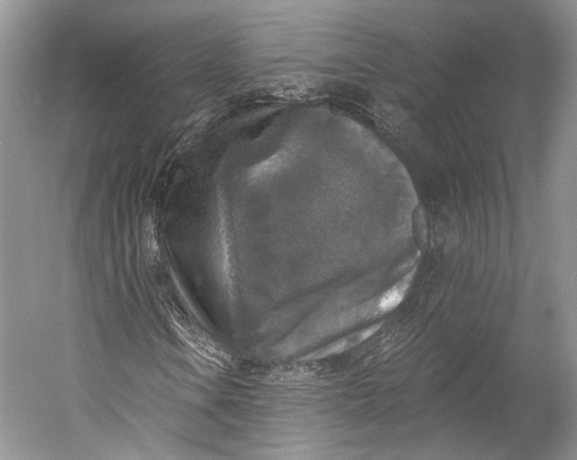 X0000058821106200510171530