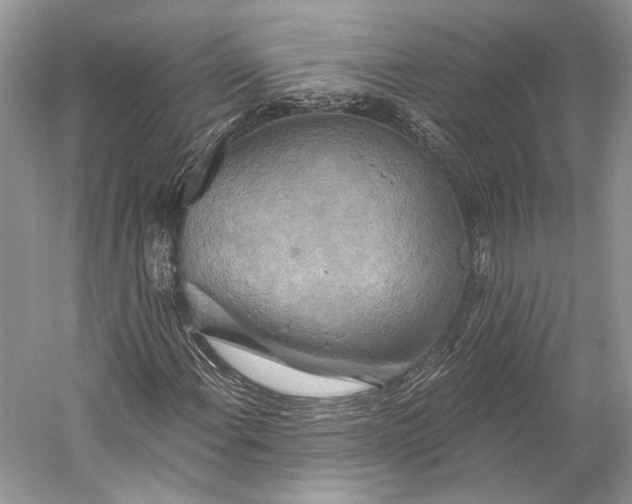 X0000058821108200510171530