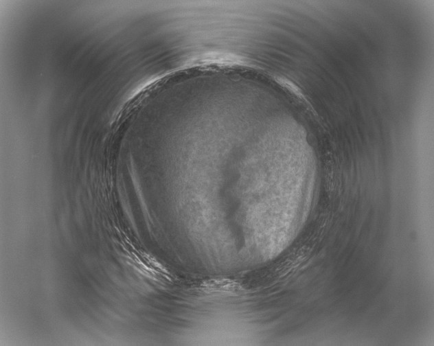 X0000058821112200510171530