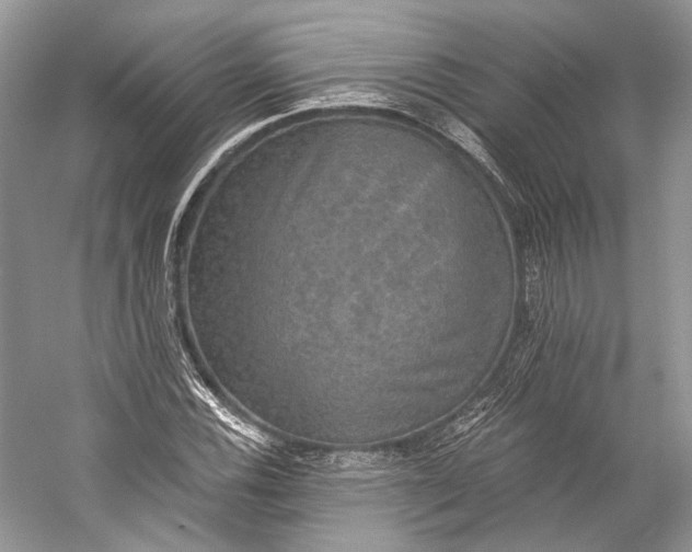 X0000058821116200510171530