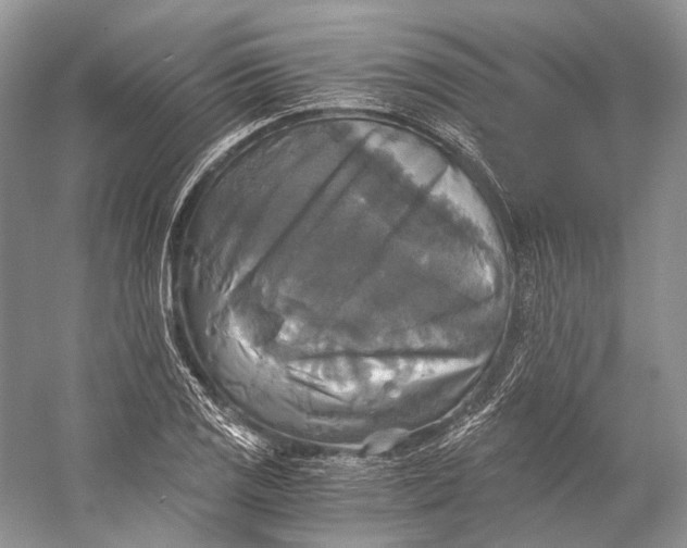 X0000058821125200510171530