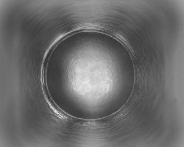 X0000058821128200510171530