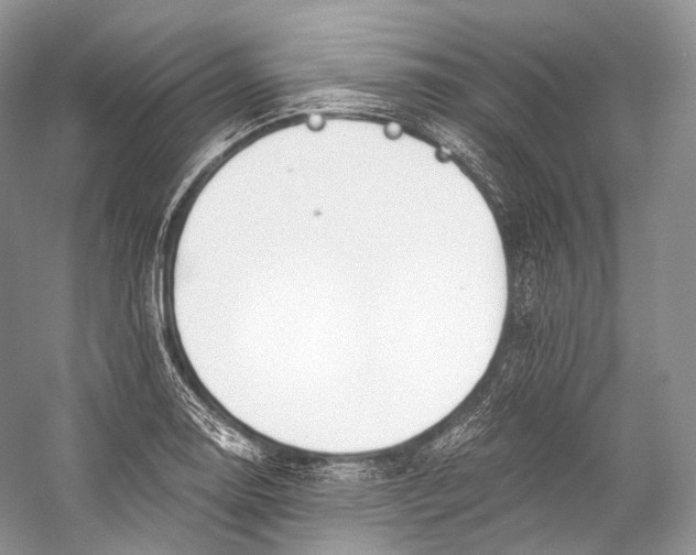 X0000058821130200510171530
