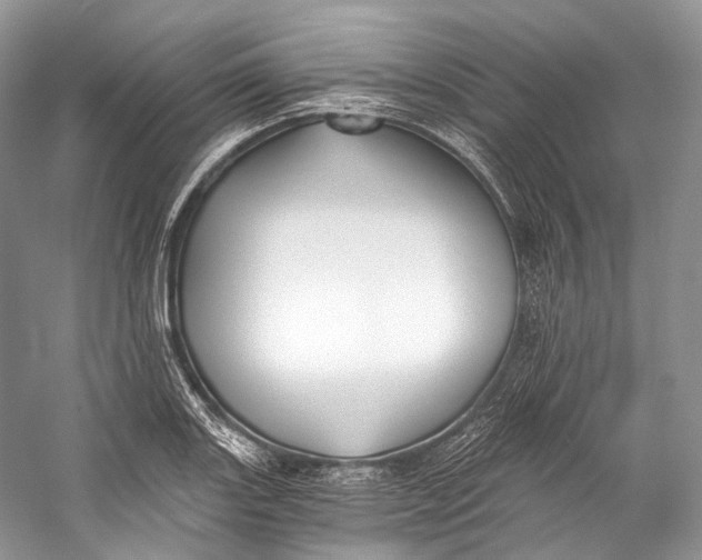 X0000058821131200510171530