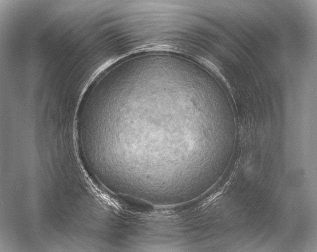 X0000058821133200510171530