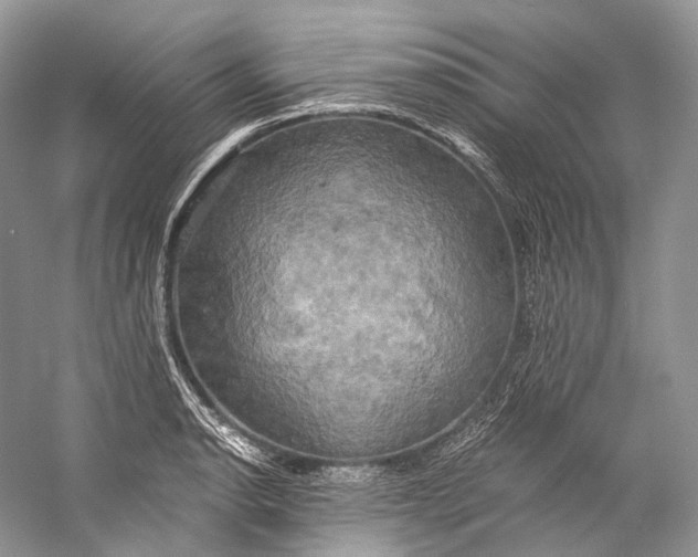 X0000058821134200510171530