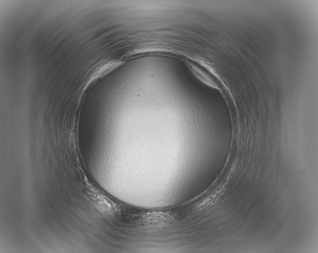 X0000058821137200510171530