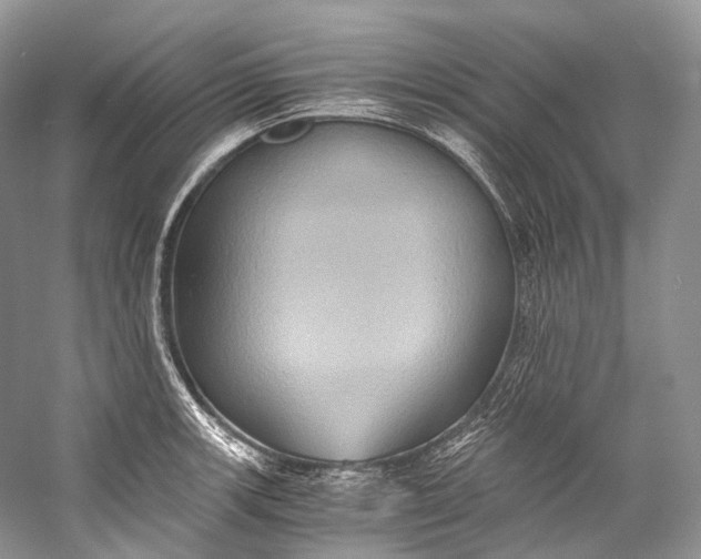 X0000058821139200510171530