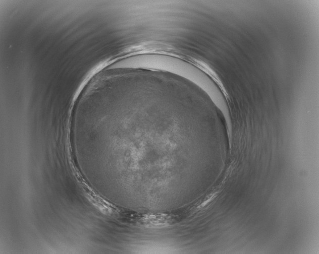 X0000058821146200510171530
