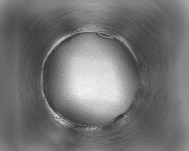 X0000058821147200510171530