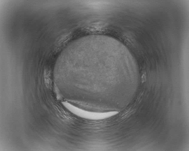 X0000058821156200510171529