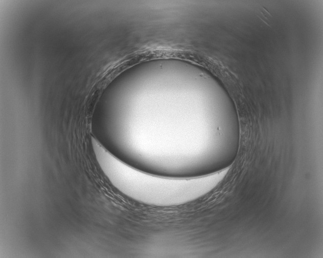 X0000058821157200510171529