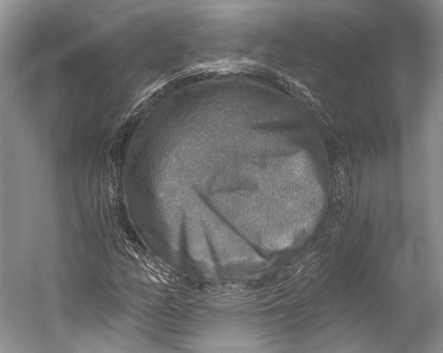 X0000058821158200510171529