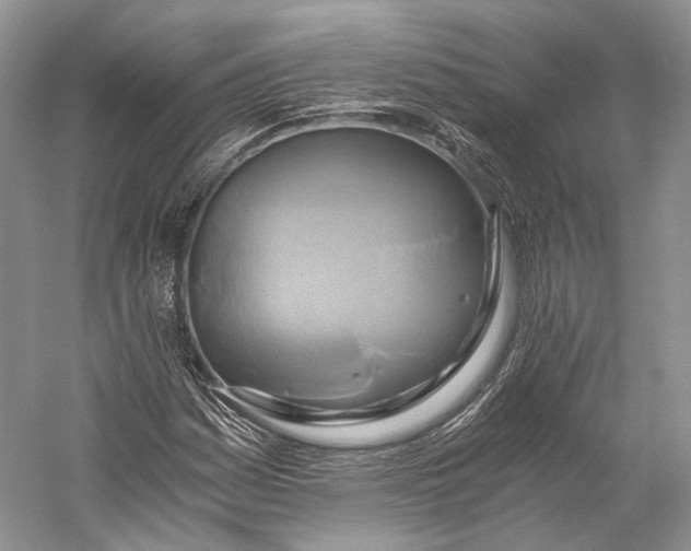 X0000058821161200510171529