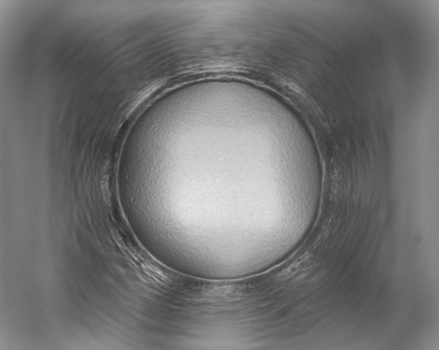 X0000058821162200510171529