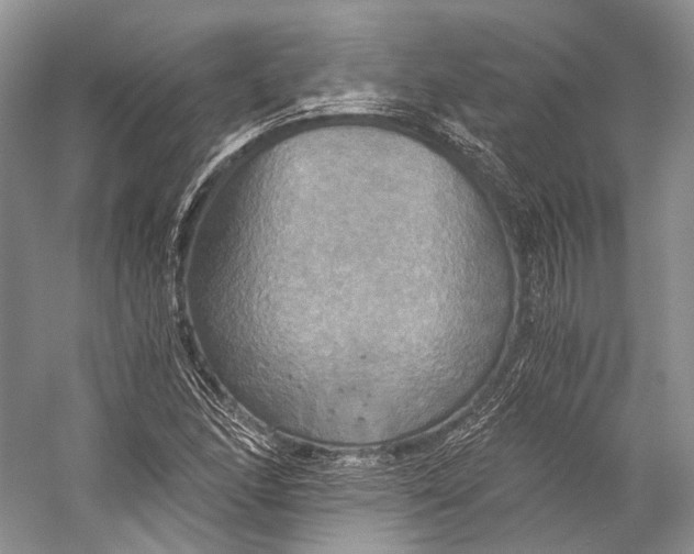 X0000058821166200510171529