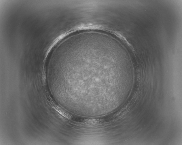 X0000058821167200510171529
