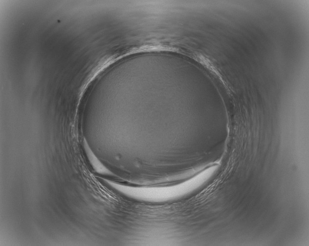 X0000058821173200510171529