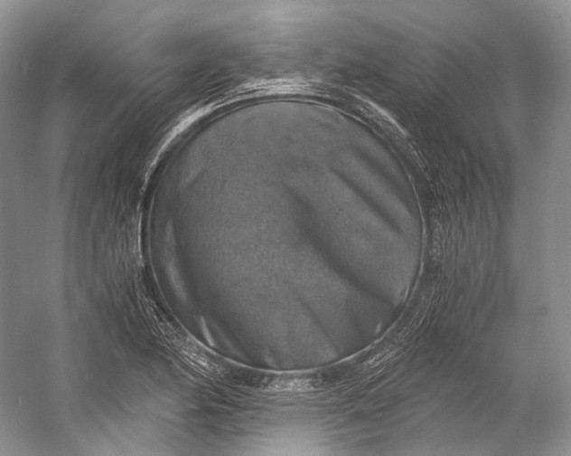 X0000058821174200510171529