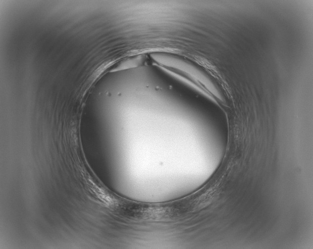 X0000058821177200510171529