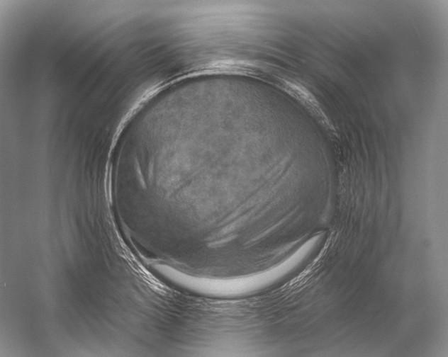 X0000058821180200510171529