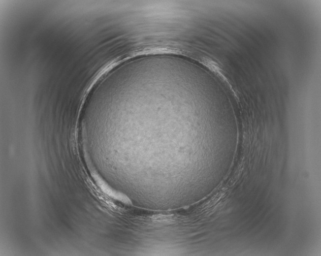 X0000058821181200510171529