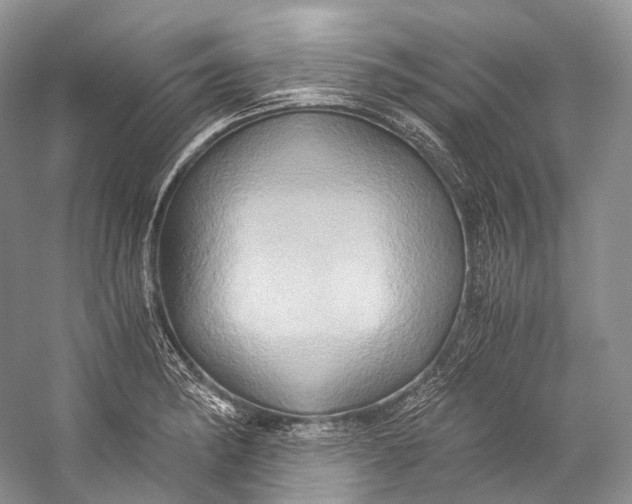 X0000058821182200510171529