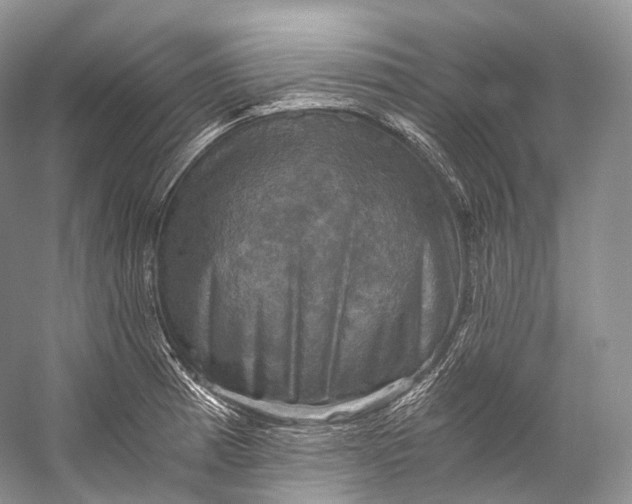 X0000058821185200510171529
