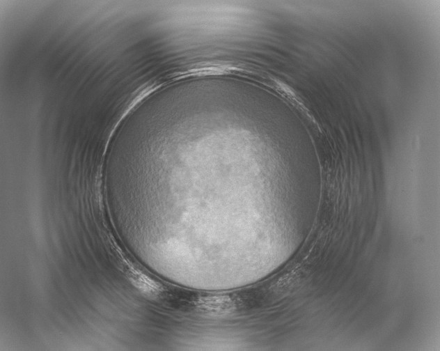 X0000058821186200510171529