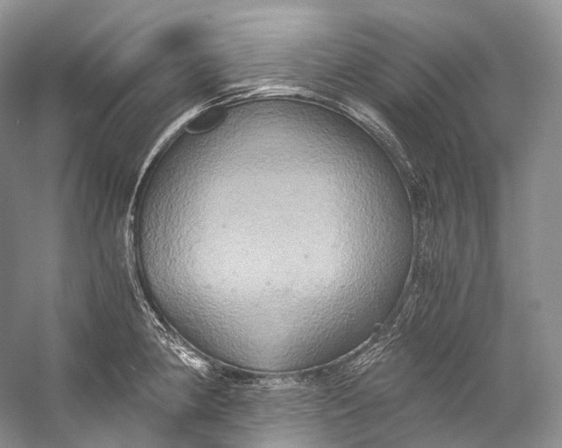 X0000058821190200510171529