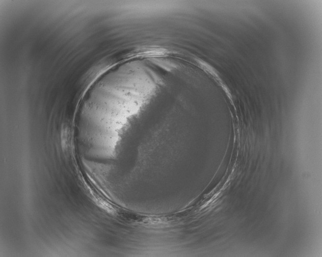 X0000058821194200510171529