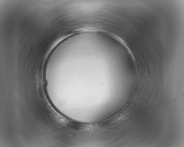 X0000058821195200510171529