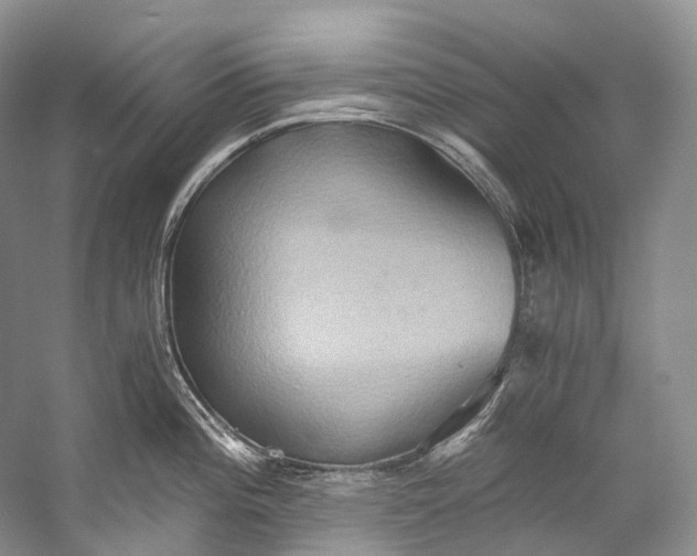 X0000058821196200510171529
