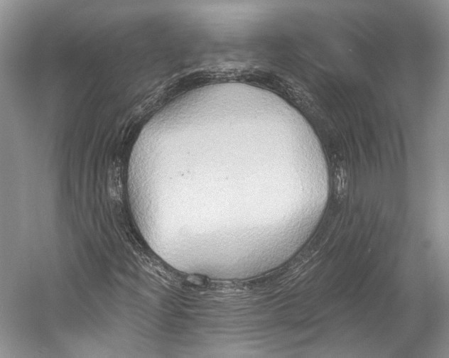 X0000058821204200510171528