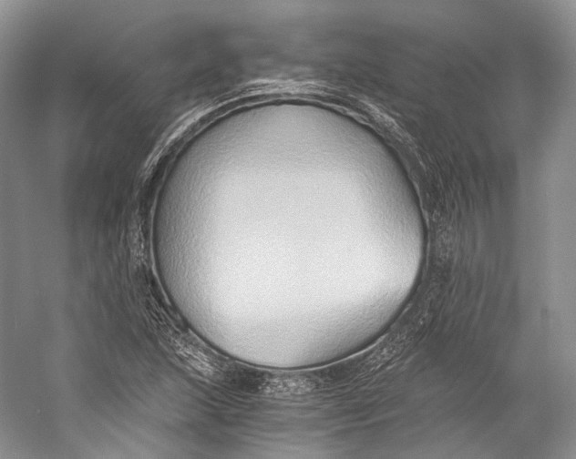 X0000058821215200510171528