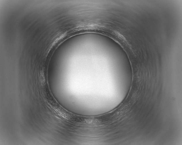 X0000058821218200510171528