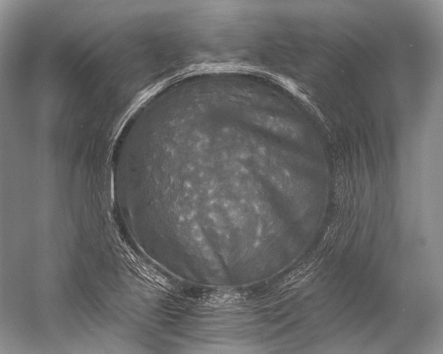 X0000058821221200510171528
