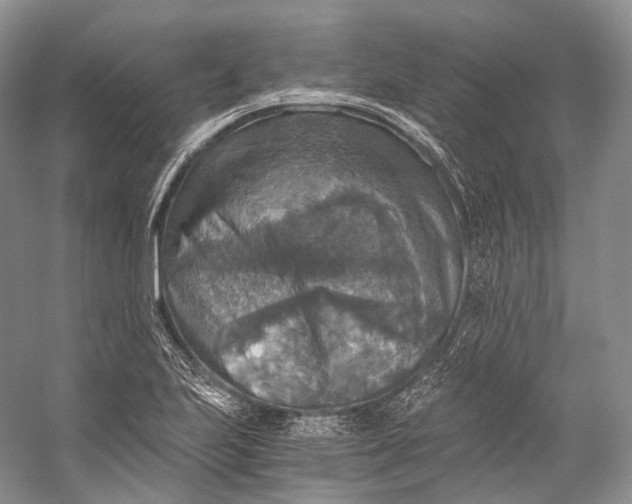 X0000058821223200510171528