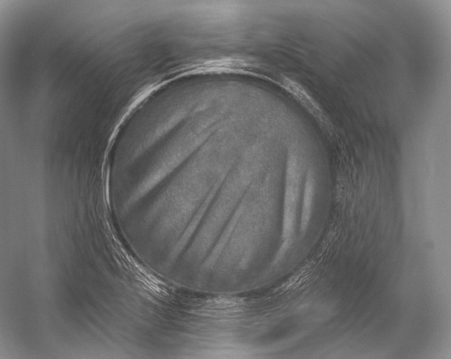 X0000058821224200510171528